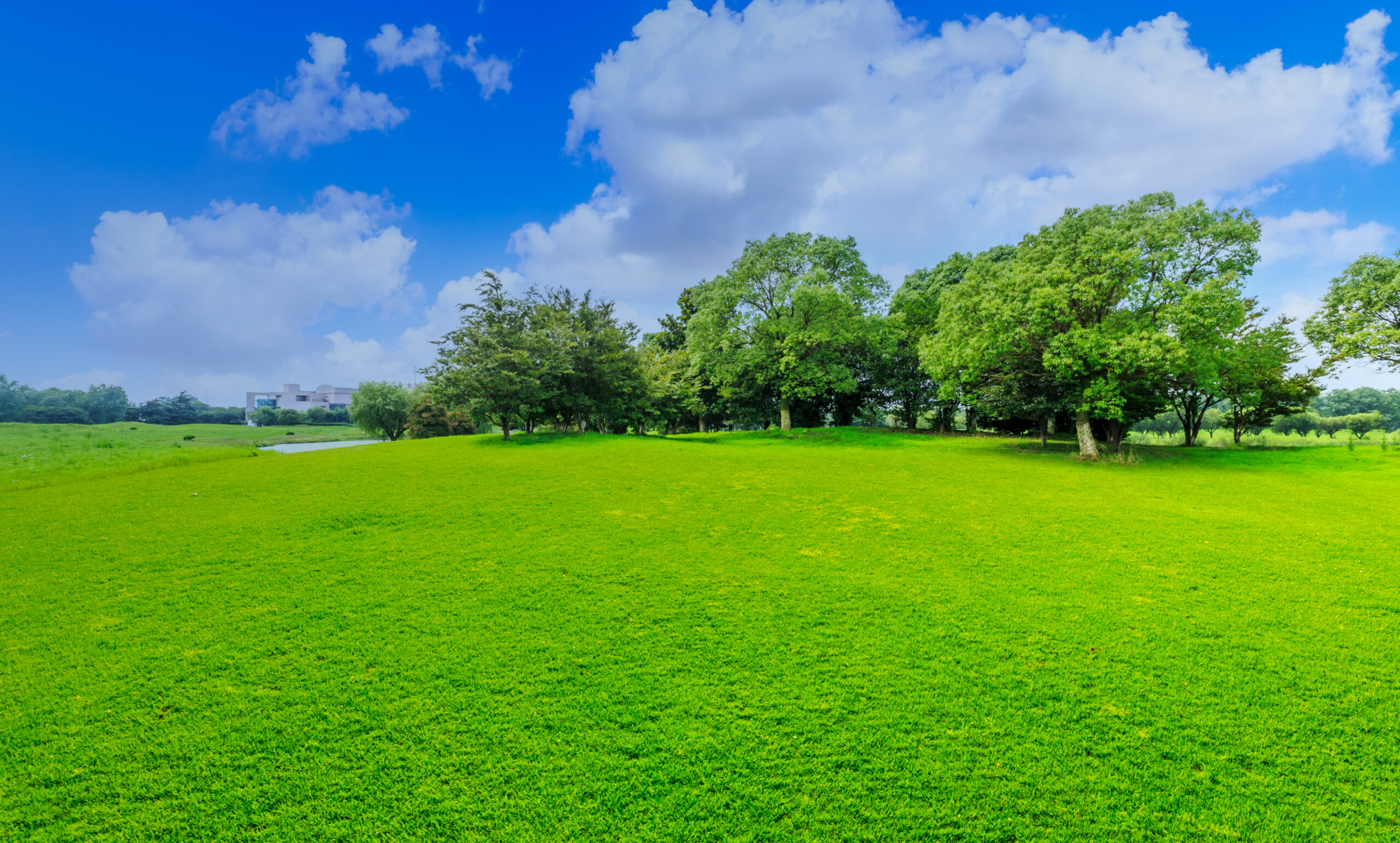 車の修理・鈑金・塗装は里見車工房へ。