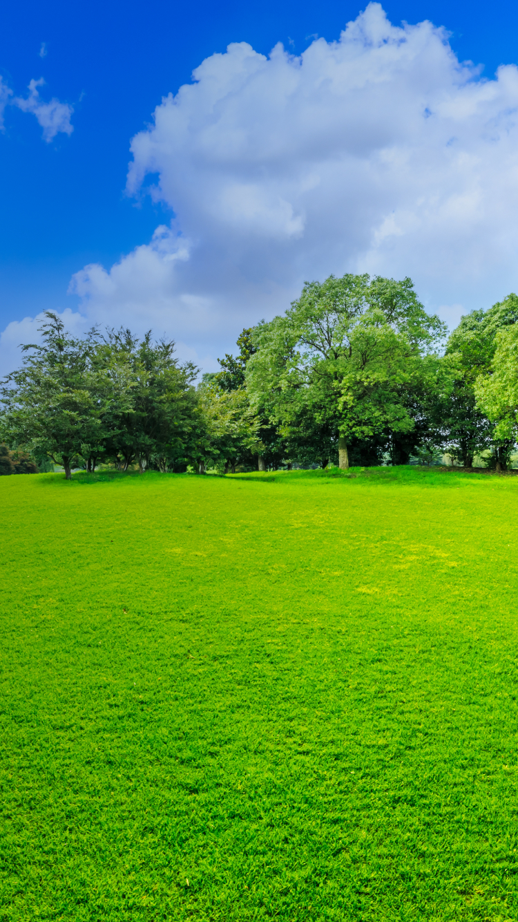 車の修理・鈑金・塗装は里見車工房へ。