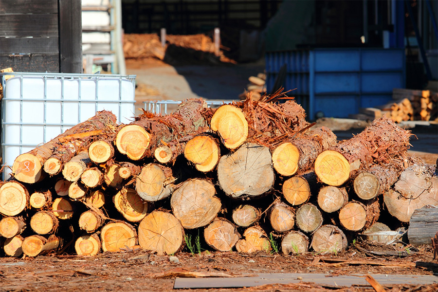 植木の伐採・撤去処分